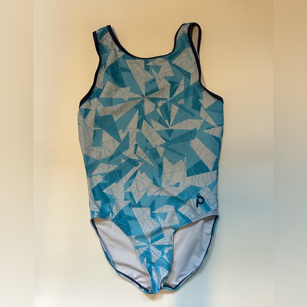 Blue Plum Leotard